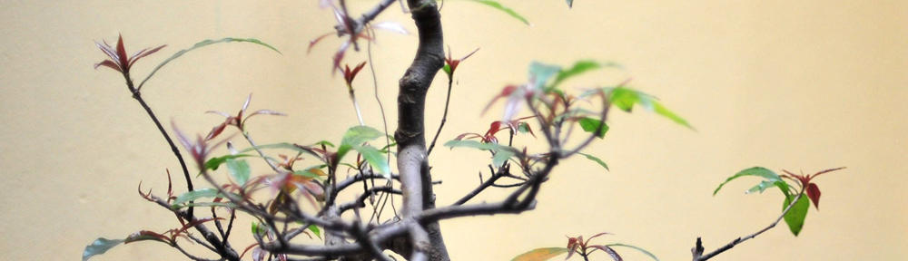 F-r-e-e live italy gay web cam fuck chat